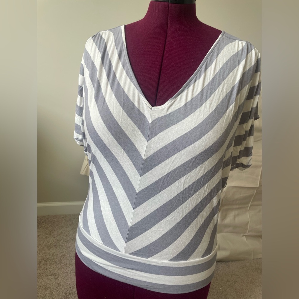 BRAND NEW 🖤 Express Gray and White Striped Top